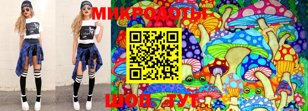 Псилоцибиновые грибы Psilocybine cubensis Обнинск