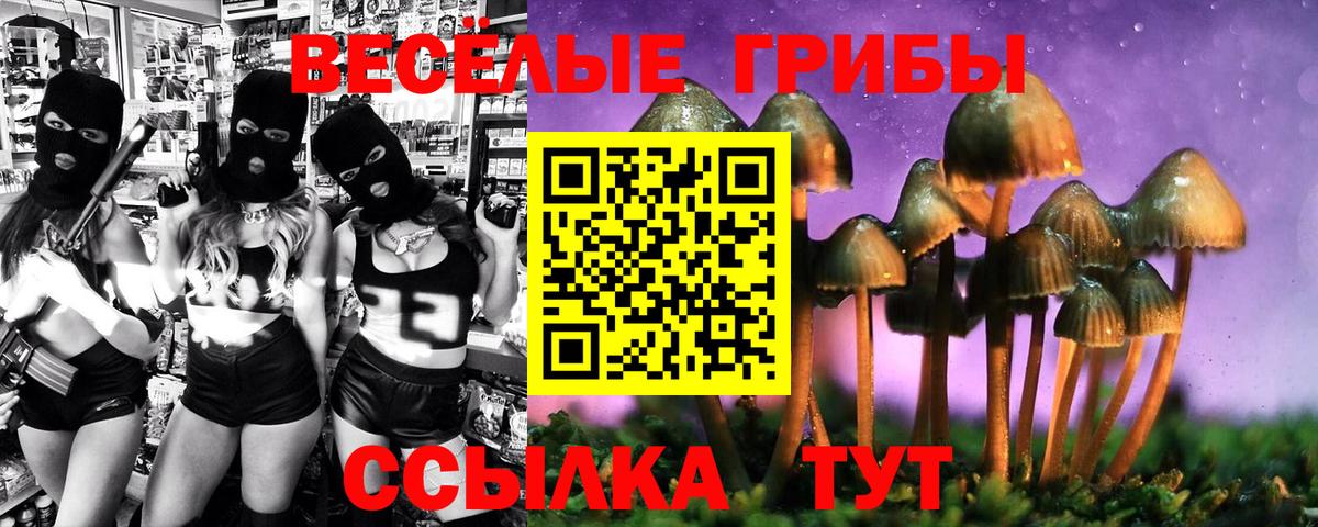 Галлюциногенные грибы GOLDEN TEACHER  Вход с VPN  Обнинск  Галлюциногенные грибы MAGIC MUSHROOMS 